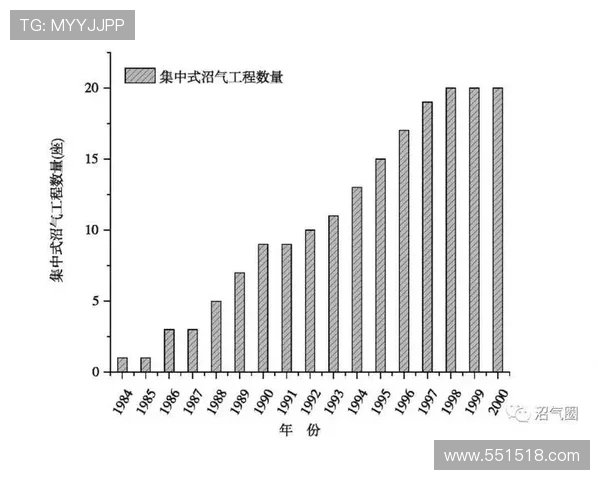 比较不同国家的国际博彩平台运营模式